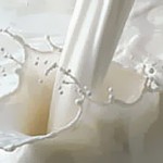 moloko28
